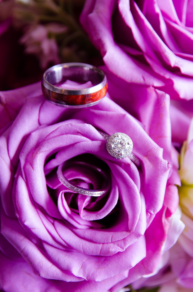 Chris Hart Photo Logo